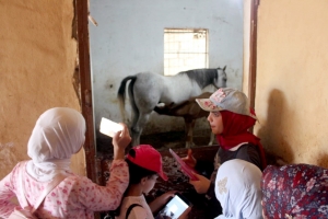 ركوب خيل ورحلة بحرية.. النشاط الثاني لدورة فتيات الفرقان في طرابلس