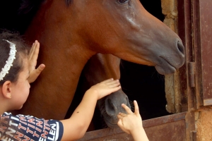 ركوب خيل ورحلة بحرية.. النشاط الثاني لدورة فتيات الفرقان في طرابلس