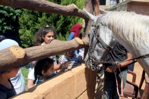 ركوب خيل ورحلة بحرية.. النشاط الثاني لدورة فتيات الفرقان في طرابلس