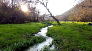 مسير للمنتدى الشبابي في مزرعة الشوف ومرج بسري