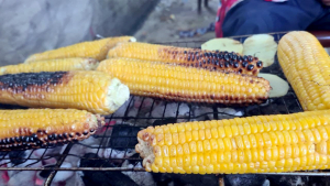 حلقة المتميّزين في دار القرآن الكريم تختتم نشاطها الصيفي برحلة غلى عيون السمك