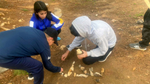 عرين الأسود.. مبيت شتوي للمنتدى الشبابي في بيروت