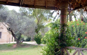 رحلة العيد لشابات المنتدى الشبابي في بيروت إلى مسبح فيلا المدهون