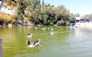 لنفسك عليك حق.. الرحلة الترفيهية الثامنة للشابات في طرابلس إلى جبال الأربعين وبنشعي