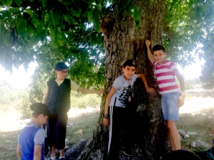 ملاهي وطبيعة خلابة.. رحلة عالم الفرقان إلى القموعة