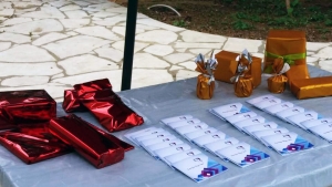 نزهة أخوية ترفيهية للسيدات والصبايا في "صالون حنايا"