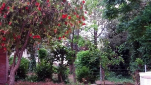 نزهة أخوية ترفيهية للسيدات والصبايا في "صالون حنايا"