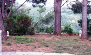 نزهة أخوية ترفيهية للسيدات والصبايا في "صالون حنايا"