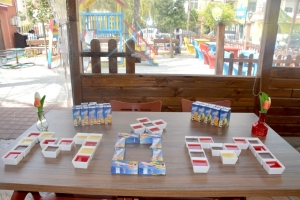 أمهات بنات.. نشاط تفاعلي للصبايا وأمهاتهنّ في صيدا