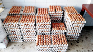 مؤسسة نماء في طرابلس تقدّم وجبات الإفطار والسحور لأكثر من 500 عائلة في العشر الأوائل من رمضان