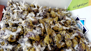 مؤسسة نماء في طرابلس تقدّم وجبات الإفطار والسحور لأكثر من 500 عائلة في العشر الأوائل من رمضان