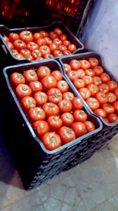 مؤسسة نماء في طرابلس تقدّم وجبات الإفطار والسحور لأكثر من 500 عائلة في العشر الأوائل من رمضان