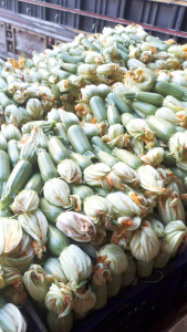 مؤسسة نماء في طرابلس تقدّم وجبات الإفطار والسحور لأكثر من 500 عائلة في العشر الأوائل من رمضان