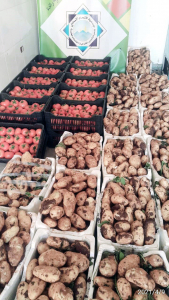 مؤسسة نماء في طرابلس تقدّم وجبات الإفطار والسحور لأكثر من 500 عائلة في العشر الأوائل من رمضان